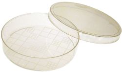 Agtech petridish 9cm wide 10 per pack, gridded