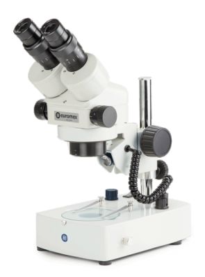 Embryo analyses asseccement