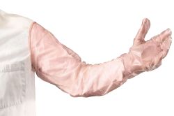 Inseminationglove with elastic 