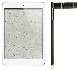 Isperm module Dog without Ipad mini 6 (128 GB)